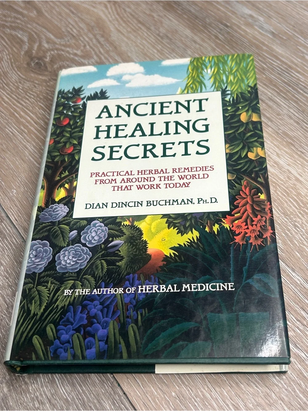Ancient Healing Secrets Book Dian Dincin Buchman Hardcover Herbal Remedies
